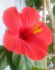 2016-04-29 10.56.22.png