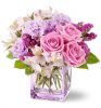 7622a_Beautiful-Day.jpg