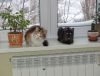 DSC00432_.jpg