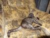 DSC00488_.jpg
