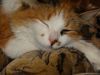 DSC00500_.jpg