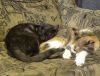 DSC00512_.jpg