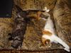 DSC00527_.jpg