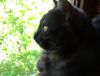 DSC00575_.jpg
