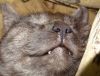 DSC00594_.jpg