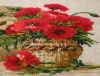 DSC00804_.jpg