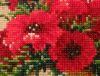 DSC00805_.jpg