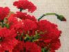 DSC00809_.jpg