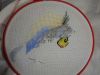 DSC01651.JPG