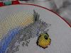 DSC01653.JPG