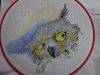 DSC01662.JPG