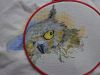 DSC01672.JPG