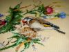 DSC04839.JPG