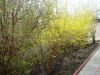 DSC04845.JPG