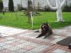 DSC04848.JPG