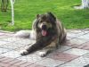 DSC04849.JPG