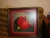 DSC07790.thumb.JPG.357f24b2b8eacd94c6a4b
