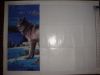 DSC08382.thumb.JPG.9258bf82c8b55ea85dd43