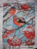 DSC08387.thumb.JPG.f3126e2ba296d60de7d2c
