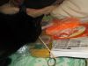 DSCF0278.JPG