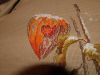 DSCF9874.JPG