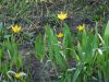 DSCN0575.JPG