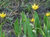 DSCN0577.JPG