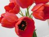 DSCN0683.jpg