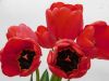 DSCN0685.jpg