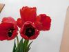 DSCN0687.jpg