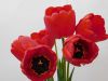DSCN0688.jpg