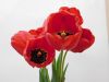 DSCN0689.jpg