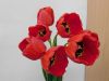 DSCN0690.jpg