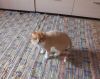 DSCN0741.JPG