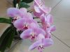 DSCN0837.JPG