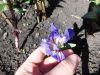 DSCN0855.JPG
