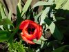 DSCN0866.JPG