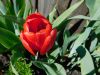 DSCN0868.JPG