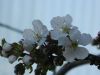 DSCN1529.JPG