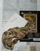 DSCN4917.jpg