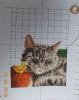 DSCN4967.jpg
