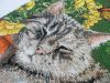 DSCN4990.jpg