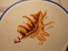 DSCN6311.JPG