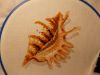 DSCN6313.JPG