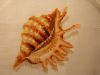 DSCN6314.JPG