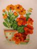 DSCN8234.JPG