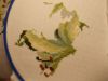 DSCN8389.JPG