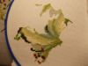 DSCN8390.JPG