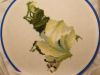 DSCN8395.JPG