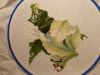 DSCN8396.JPG
